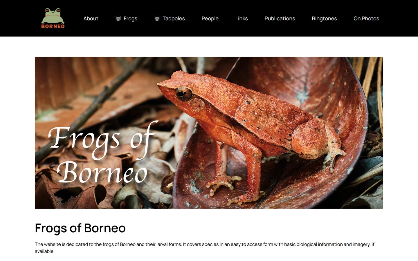 Home page of frogsofborneo.org with header picture and main menu
